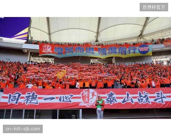 泰山队或在夏窗调整锋线，寻求战术支点型中锋替代泽卡。